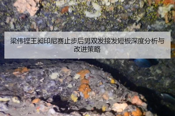梁伟铿王昶印尼赛止步后男双发接发短板深度分析与改进策略（ob88.com.cn）